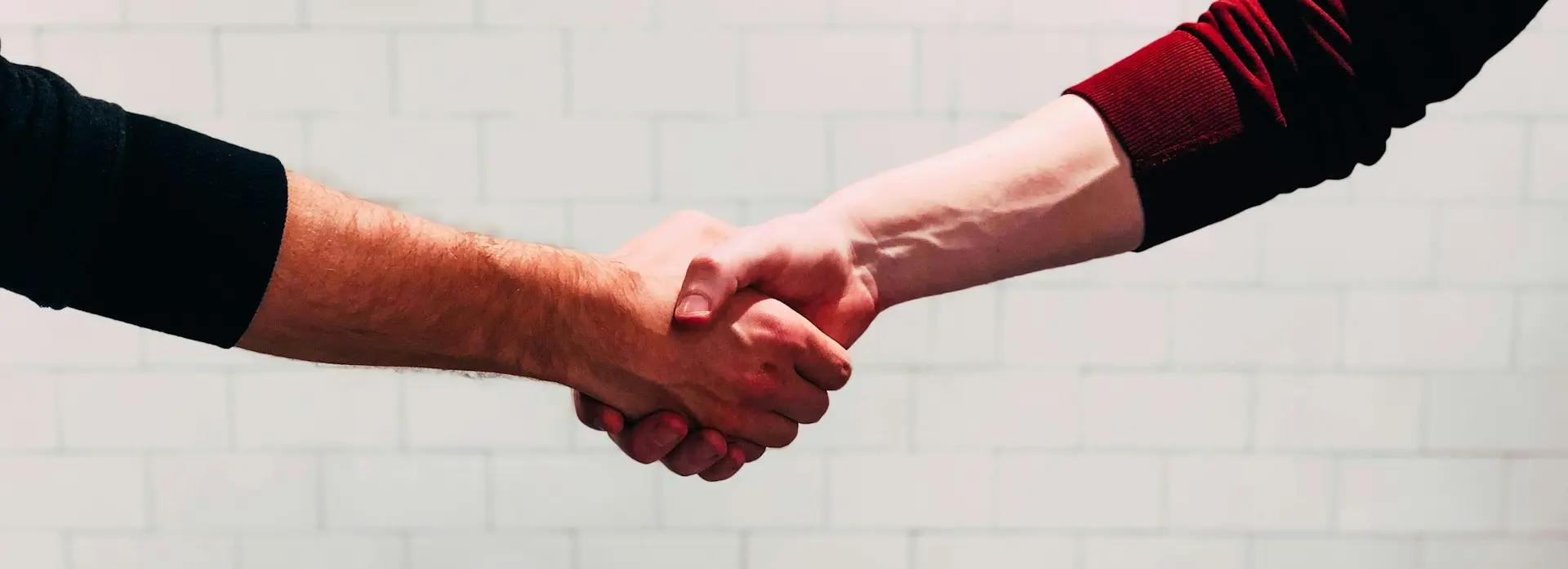 two person shaking hands near white painted wall